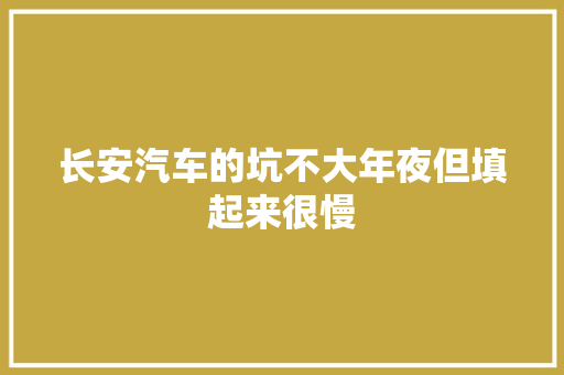长安汽车的坑不大年夜但填起来很慢