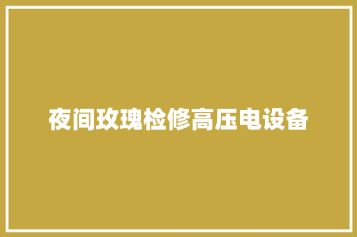夜间玫瑰检修高压电设备