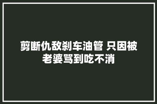 剪断仇敌刹车油管 只因被老婆骂到吃不消