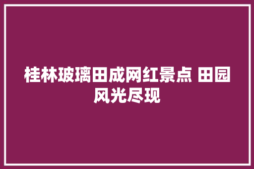 桂林玻璃田成网红景点 田园风光尽现