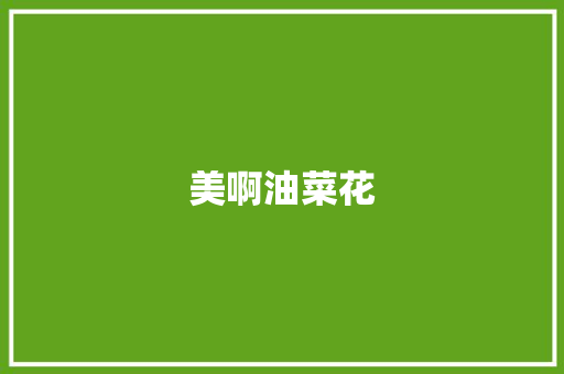 美啊油菜花