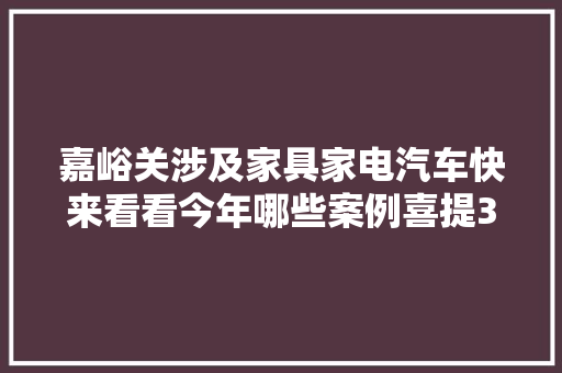 嘉峪关涉及家具家电汽车快来看看今年哪些案例喜提315