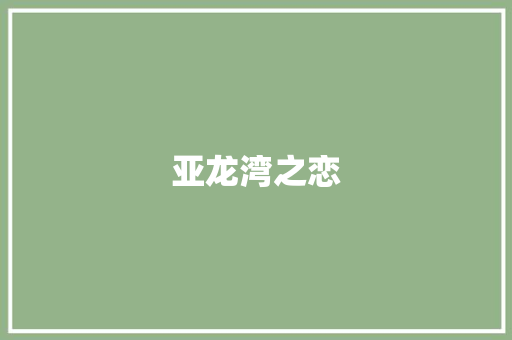 亚龙湾之恋