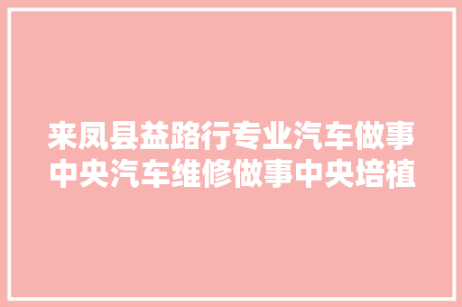 来凤县益路行专业汽车做事中央汽车维修做事中央培植项目落成情形保护举动办法验收意见