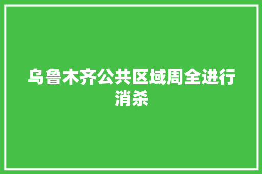 乌鲁木齐公共区域周全进行消杀