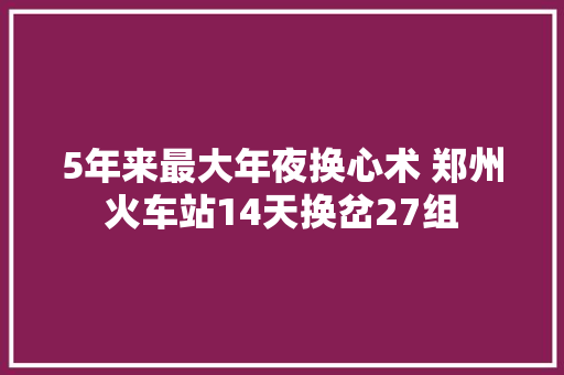 5年来最大年夜换心术 郑州火车站14天换岔27组