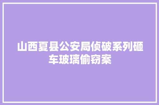 山西夏县公安局侦破系列砸车玻璃偷窃案