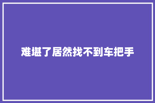 难堪了居然找不到车把手