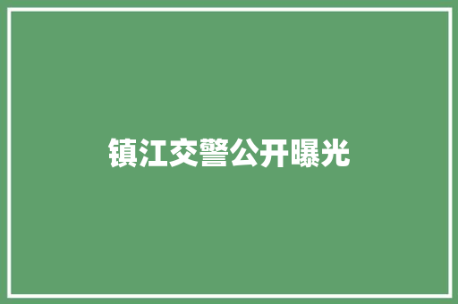 镇江交警公开曝光
