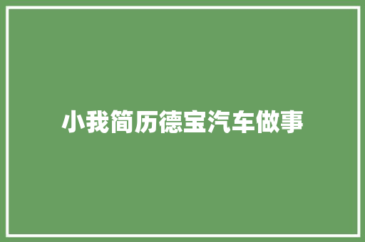 小我简历德宝汽车做事