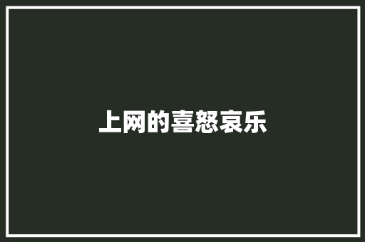 上网的喜怒哀乐