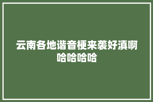 云南各地谐音梗来袭好滇啊哈哈哈哈 休闲娱乐