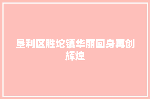 垦利区胜坨镇华丽回身再创辉煌