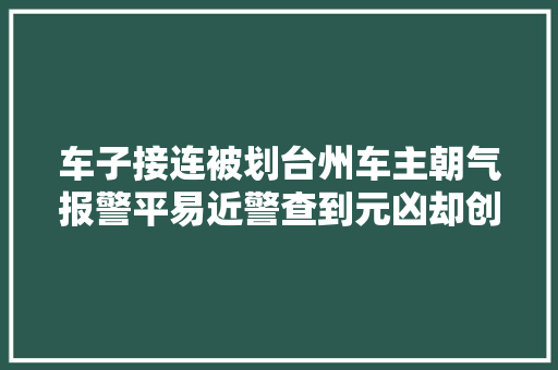 车子接连被划台州车主朝气报警平易近警查到元凶却创造没法赔啊