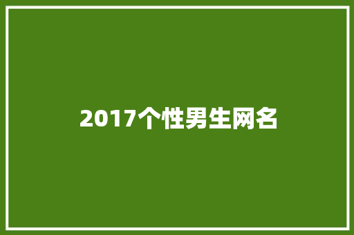 2017个性男生网名
