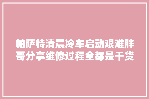 帕萨特清晨冷车启动艰难胖哥分享维修过程全都是干货