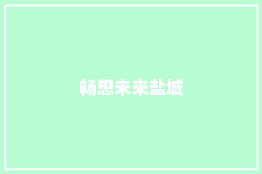 畅想未来盐城