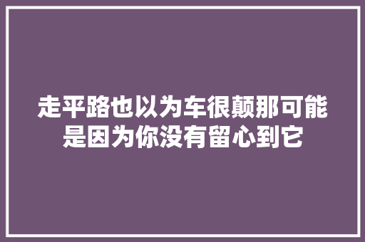 走平路也以为车很颠那可能是因为你没有留心到它