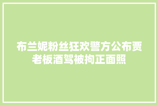 布兰妮粉丝狂欢警方公布贾老板酒驾被拘正面照