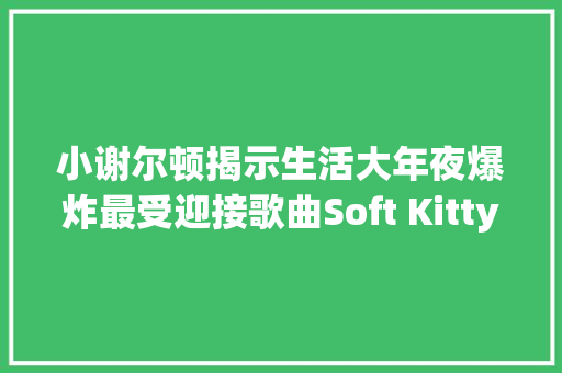 小谢尔顿揭示生活大年夜爆炸最受迎接歌曲Soft Kitty由来