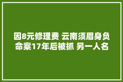 因8元修理费 云南须眉身负命案17年后被抓 另一人名下多处房产保时捷 正被网上追逃