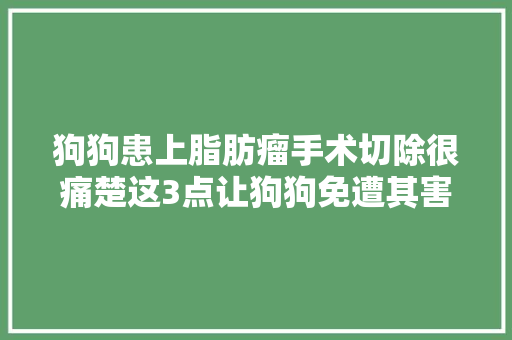 狗狗患上脂肪瘤手术切除很痛楚这3点让狗狗免遭其害
