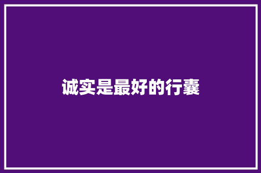 诚实是最好的行囊