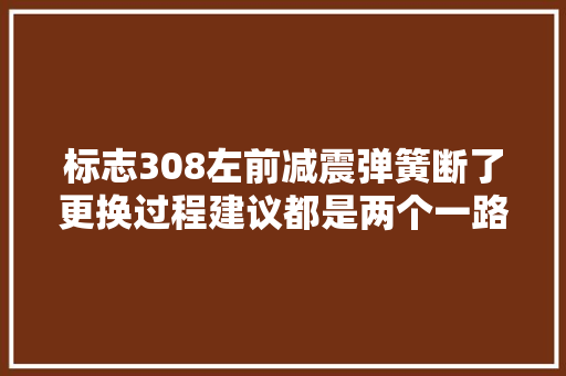 标志308左前减震弹簧断了更换过程建议都是两个一路换的