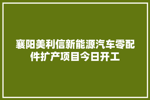 襄阳美利信新能源汽车零配件扩产项目今日开工