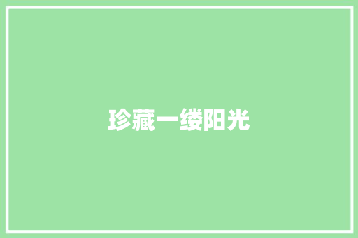 珍藏一缕阳光