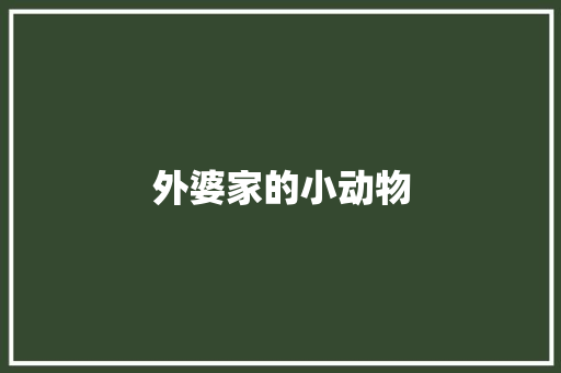 外婆家的小动物
