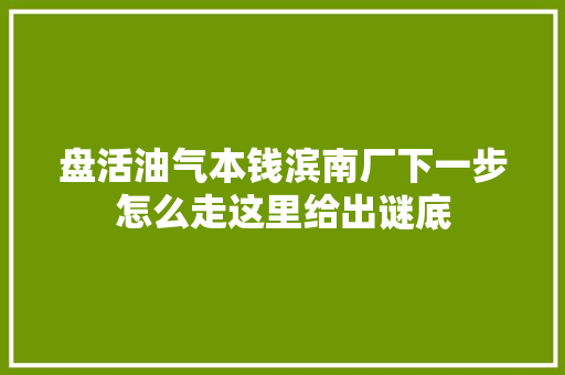 盘活油气本钱滨南厂下一步怎么走这里给出谜底