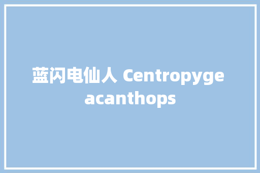 蓝闪电仙人 Centropyge acanthops