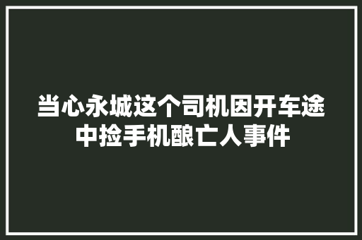 当心永城这个司机因开车途中捡手机酿亡人事件