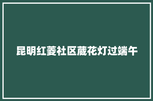 昆明红菱社区葳花灯过端午