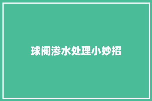 球阀渗水处理小妙招