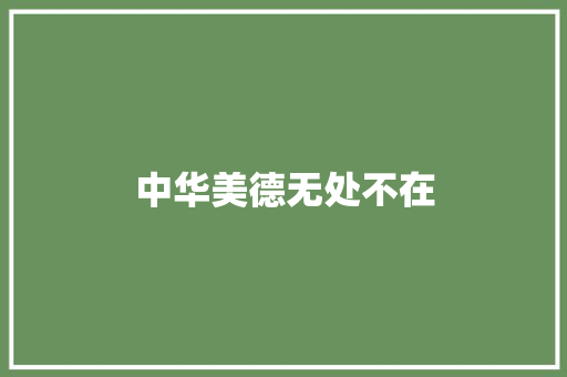 中华美德无处不在