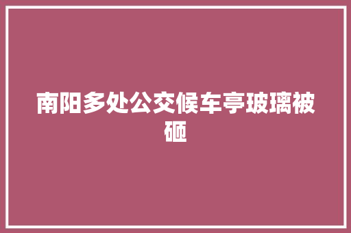 南阳多处公交候车亭玻璃被砸