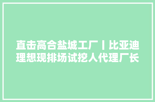 直击高合盐城工厂丨比亚迪理想现排场试挖人代理厂长丁磊人在上海还在想办法