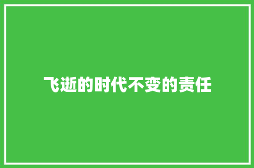 飞逝的时代不变的责任