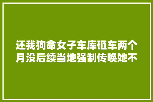 还我狗命女子车库砸车两个月没后续当地强制传唤她不来。