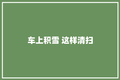 车上积雪 这样清扫