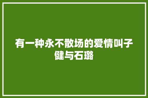 有一种永不散场的爱情叫子健与石璐