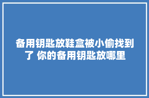 备用钥匙放鞋盒被小偷找到了 你的备用钥匙放哪里