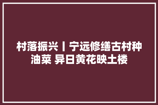 村落振兴丨宁远修缮古村种油菜 异日黄花映土楼