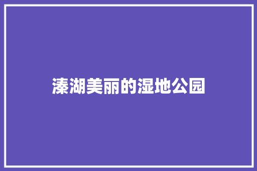 溱湖美丽的湿地公园