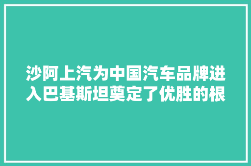 沙阿上汽为中国汽车品牌进入巴基斯坦奠定了优胜的根本  老外讲故事海外员工看中国42