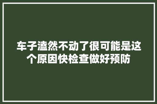车子溘然不动了很可能是这个原因快检查做好预防