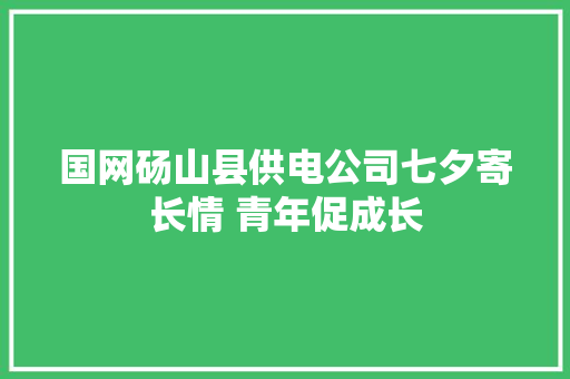 国网砀山县供电公司七夕寄长情 青年促成长