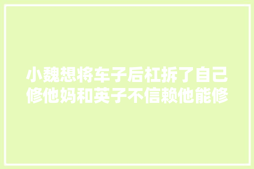 小魏想将车子后杠拆了自己修他妈和英子不信赖他能修车